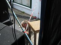 IMG 3236